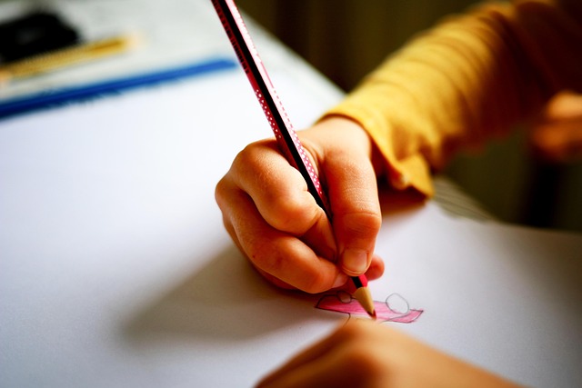 photography education structured learning approach